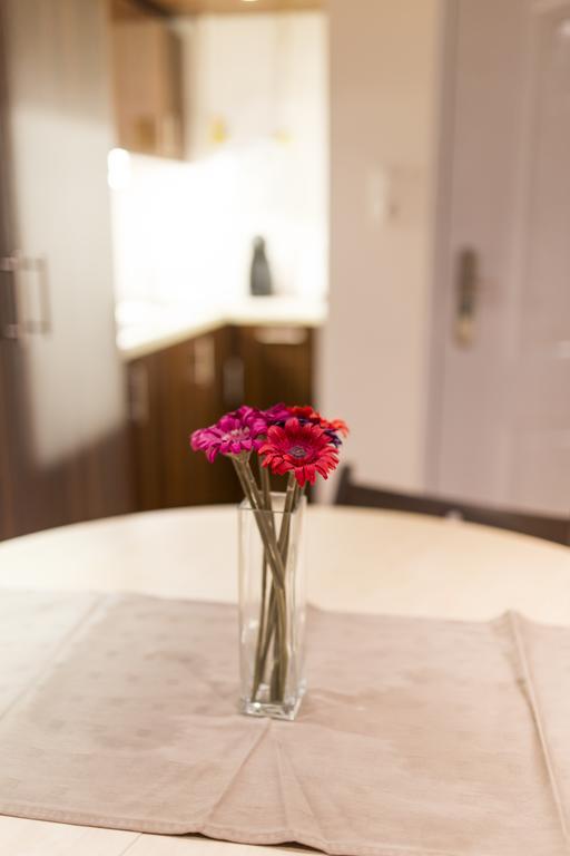 Elisabeth Bridge Apartmans ブダペスト エクステリア 写真